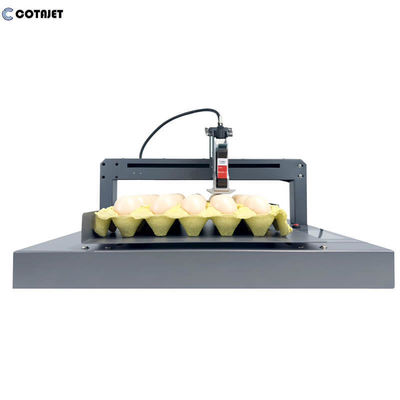 300DPI -600DPI Egg Coding Machine / Egg Inkjet Printer With Printing On Eggs And Egg Cartons